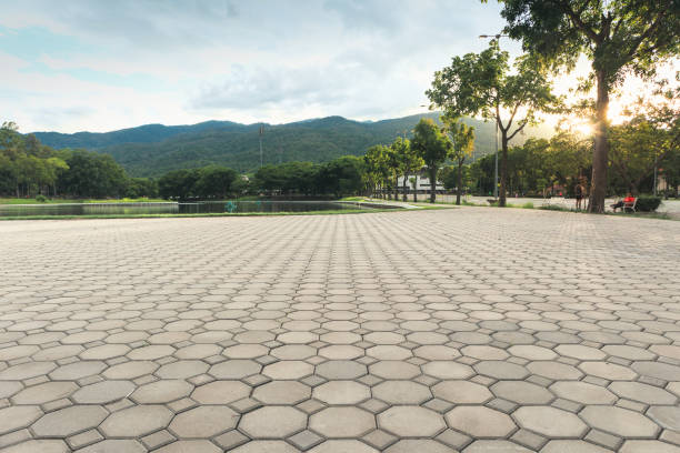 Best Professional Driveway Pavers  in Cedar Creek, TX